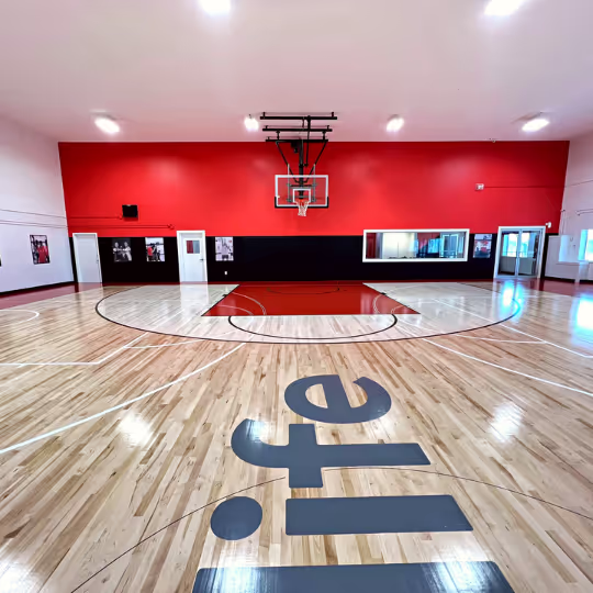 The HoopLife court from the baseline